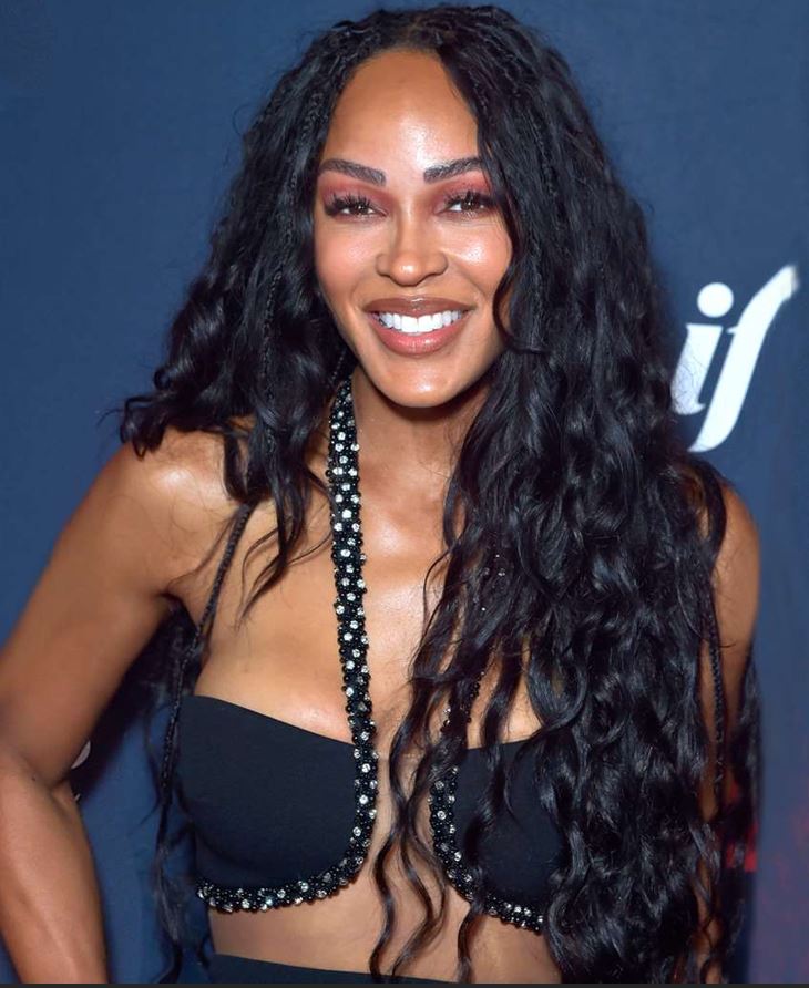 تجعيدات مع ضفائر صغيرة مثل ميغان غود لتسريحات شعر لعبية وأنيقة